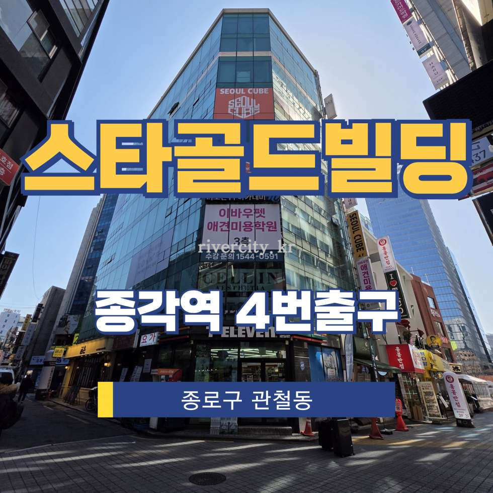 서울 종로구 관철동 180 [관철동/스타골드빌딩] 종각역 사무실 임대 월세 매물번호 17154 사진 1