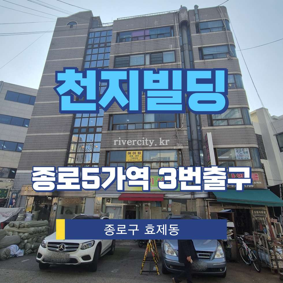 서울 종로구 효제동 171-23 [효제동/천지빌딩] 종로5가역 건물 매매 매매 매물번호 17240 사진 1