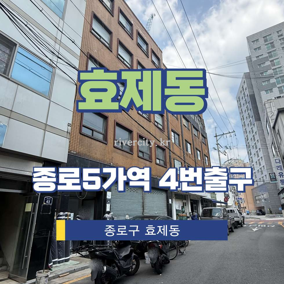서울 종로구 효제동 272 [효제동/효제동] 종로5가역 사무실 임대 월세 매물번호 15440 사진 1
