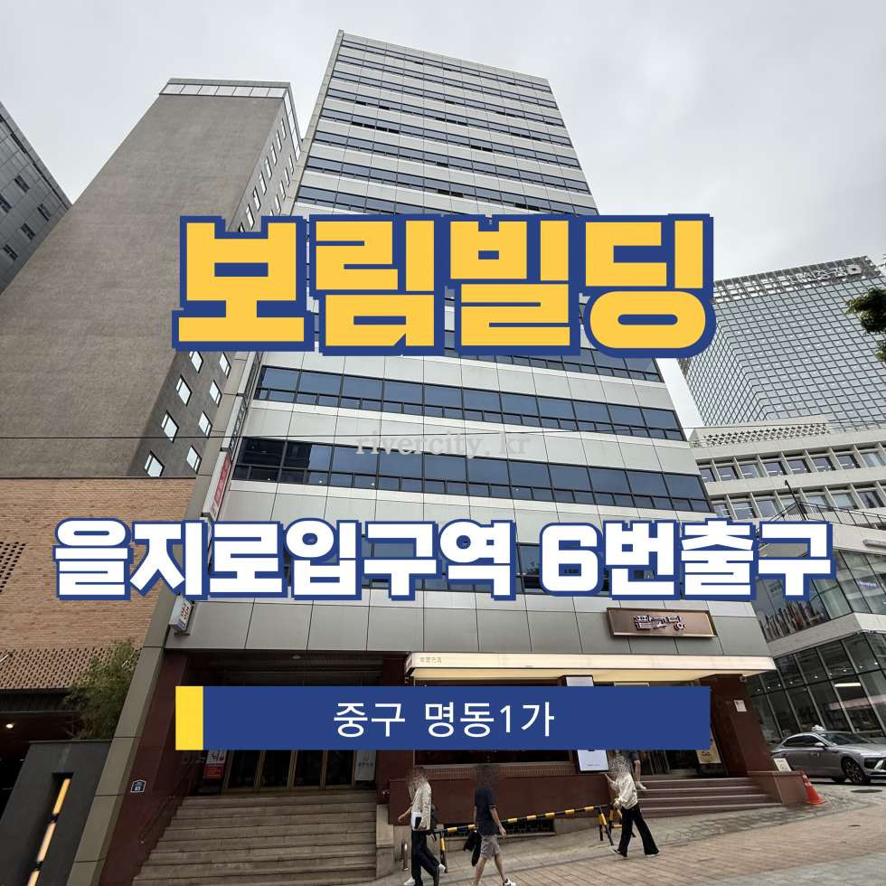 서울 중구 명동1가 5-1 [명동1가/보림빌딩] 을지로입구역 사무실 임대 월세 매물번호 15259 사진 1