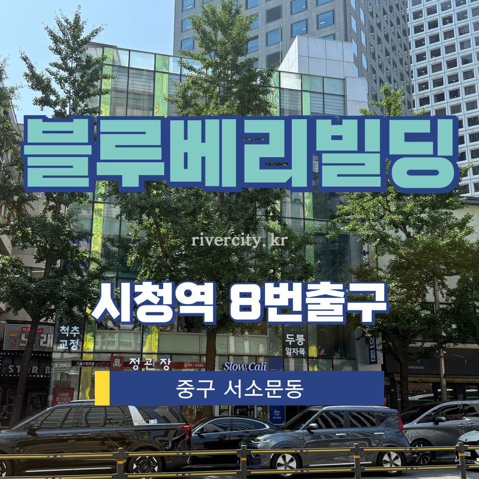 서울 중구 서소문동 97-2 [서소문동/블루베리빌딩] 시청역 상업시설 임대 월세 매물번호 15358 사진 1