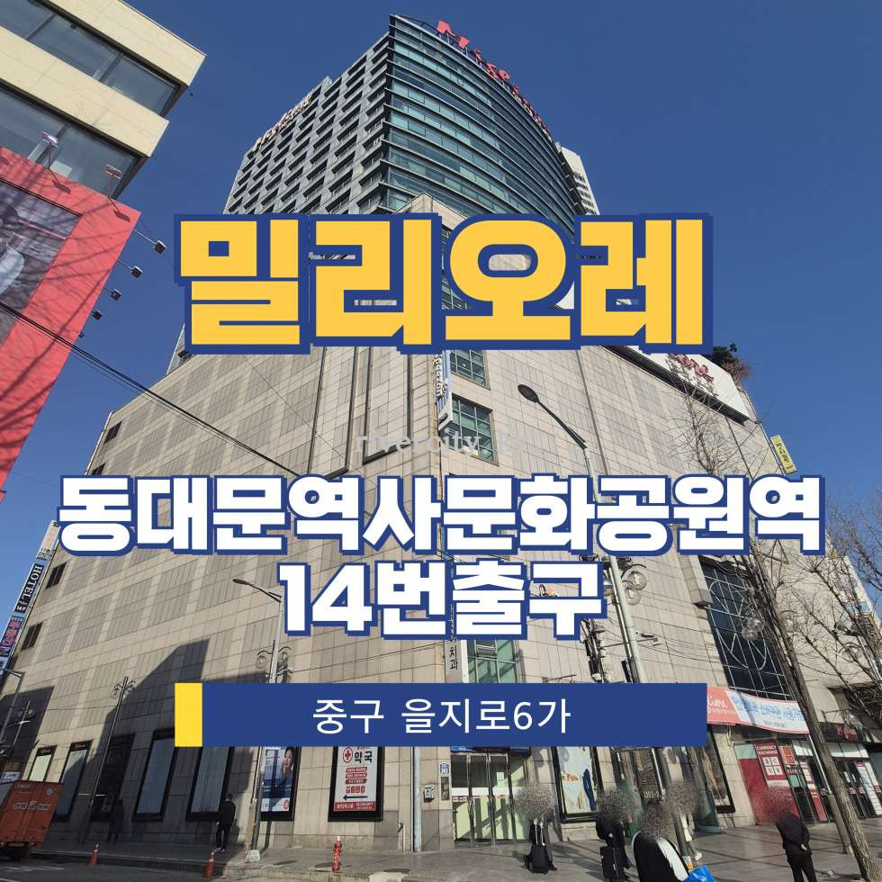 서울 중구 을지로6가 18-185 [을지로6가/밀리오레] DDP역 사무실 임대 월세 매물번호 16660 사진 1