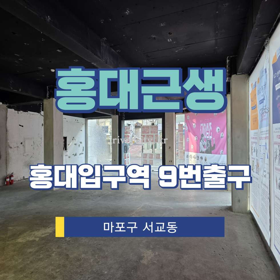 서울 마포구 서교동 [서교동/자유업종] 홍대입구역 상업시설 임대 월세 매물번호 17104 사진 1
