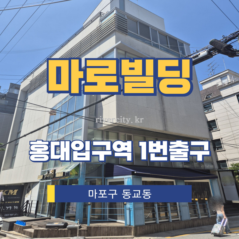 서울 마포구 동교동 203-8 [동교동/마로빌딩] 홍대입구역 사무실 임대 월세 매물번호 16568 사진 1