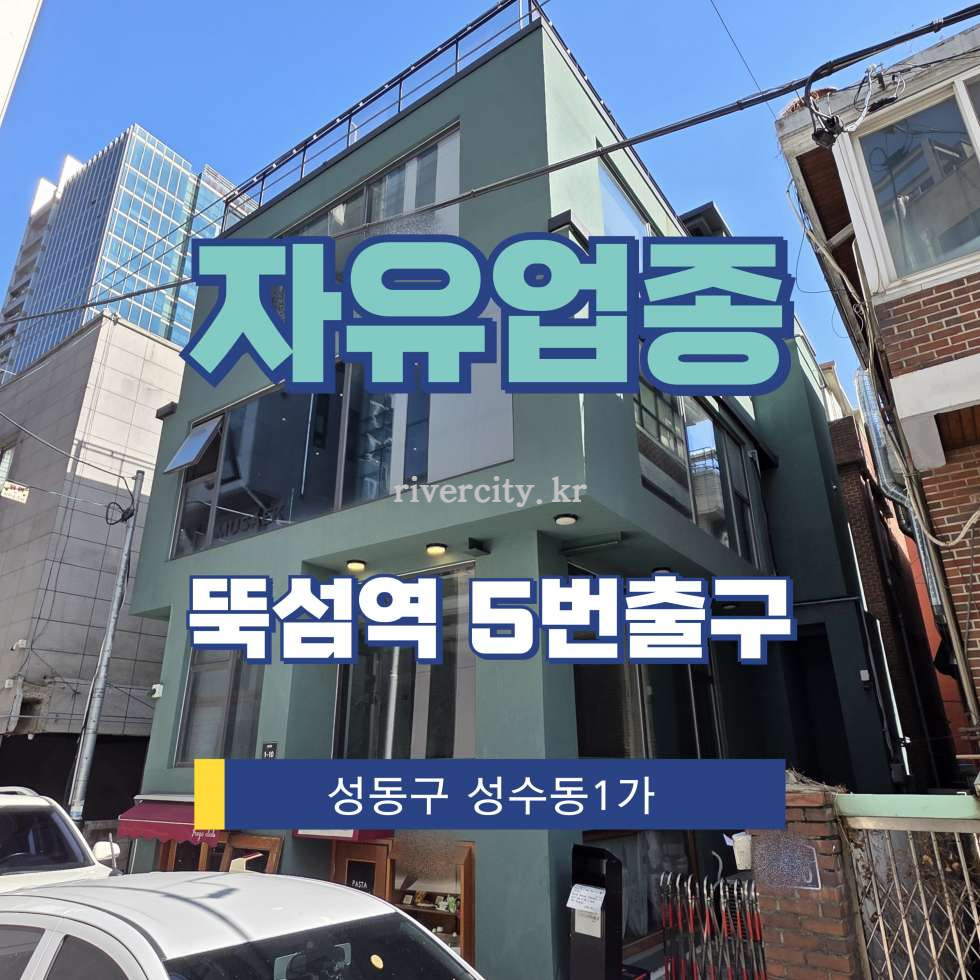 서울 성동구 성수동1가 [성수동1가/자유업종] 뚝섬역 상업시설 임대 월세 매물번호 17115 사진 1