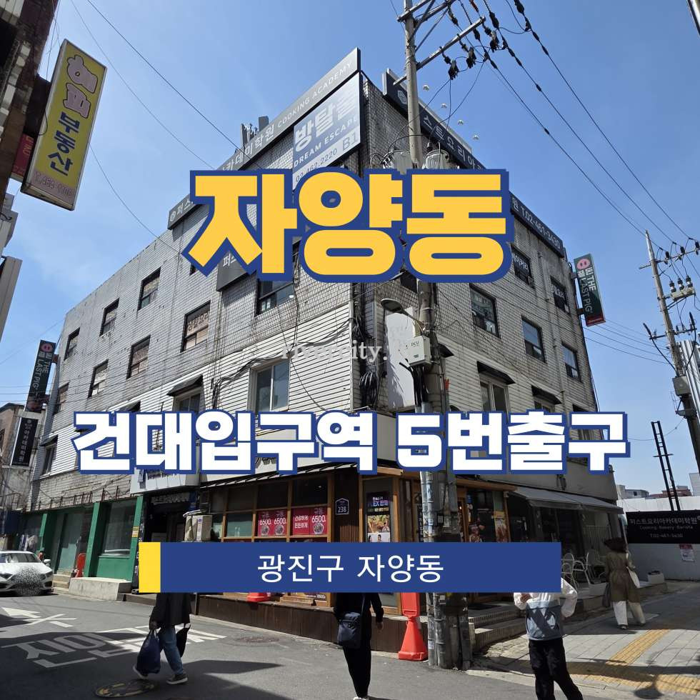 서울 광진구 자양동 7-1 [자양동/자양동] 건대입구역 사무실 임대 월세 매물번호 17225 사진 1