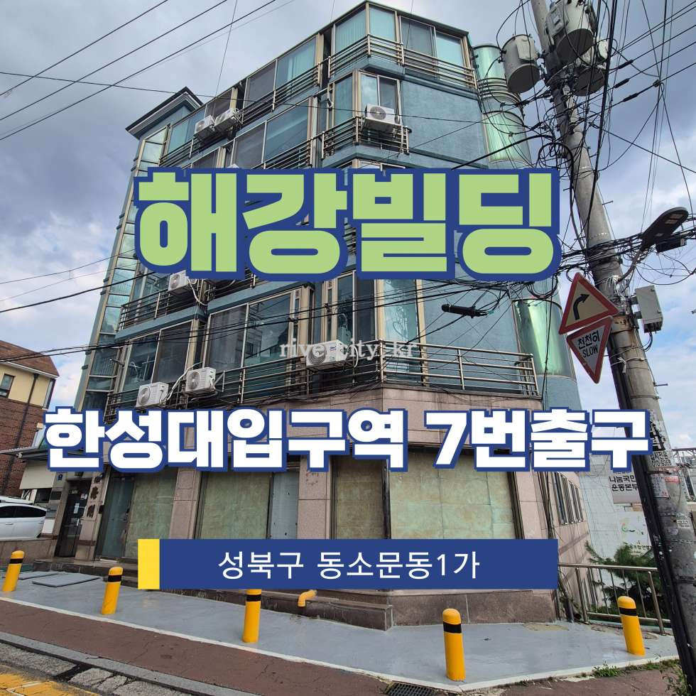 서울 성북구 동소문동1가 51-4 [동소문동1가/해강빌딩] 한성대입구역 사무실 임대 월세 매물번호 15544 사진 1