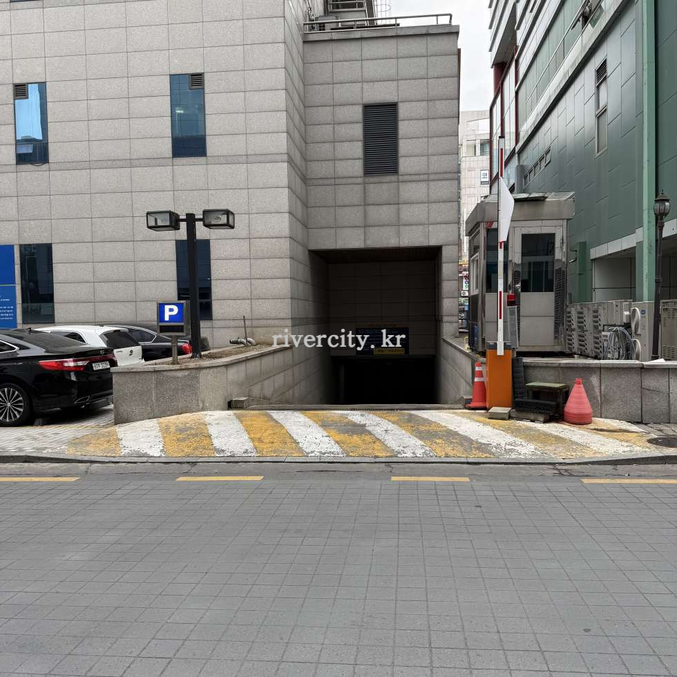 주차