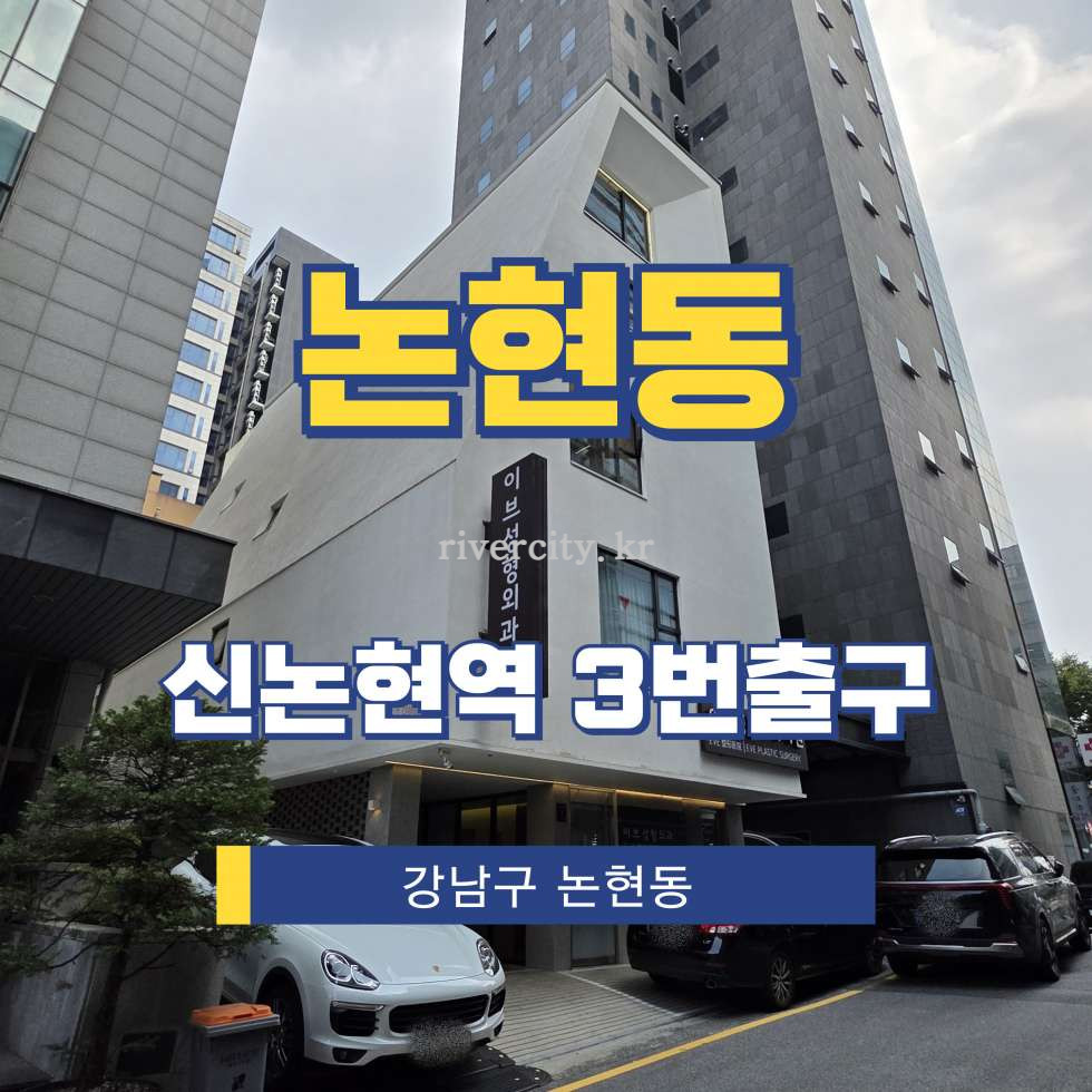 서울 강남구 논현동 202-18 [논현동/논현동] 신논현역 사무실 임대 월세 매물번호 15931 사진 1