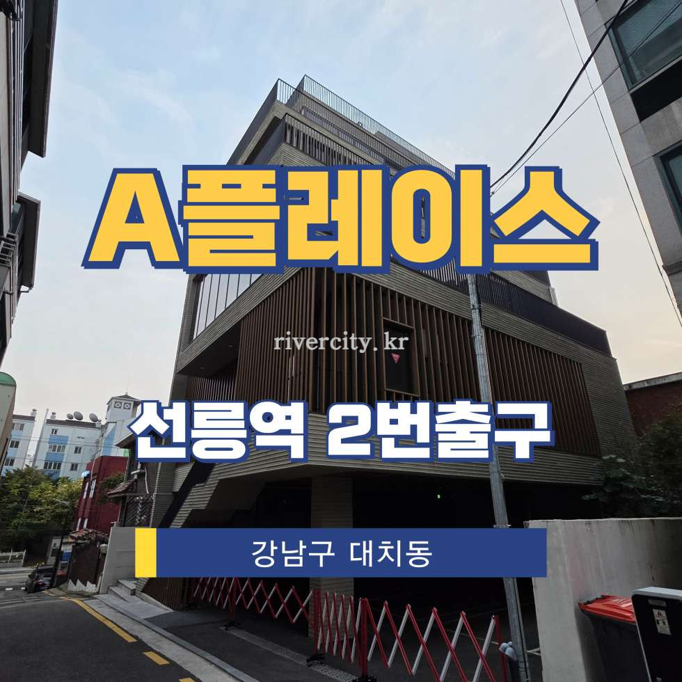 서울 강남구 대치동 905-6 [대치동/A플레이스] 선릉역 통임대 월세 매물번호 16667 사진 1