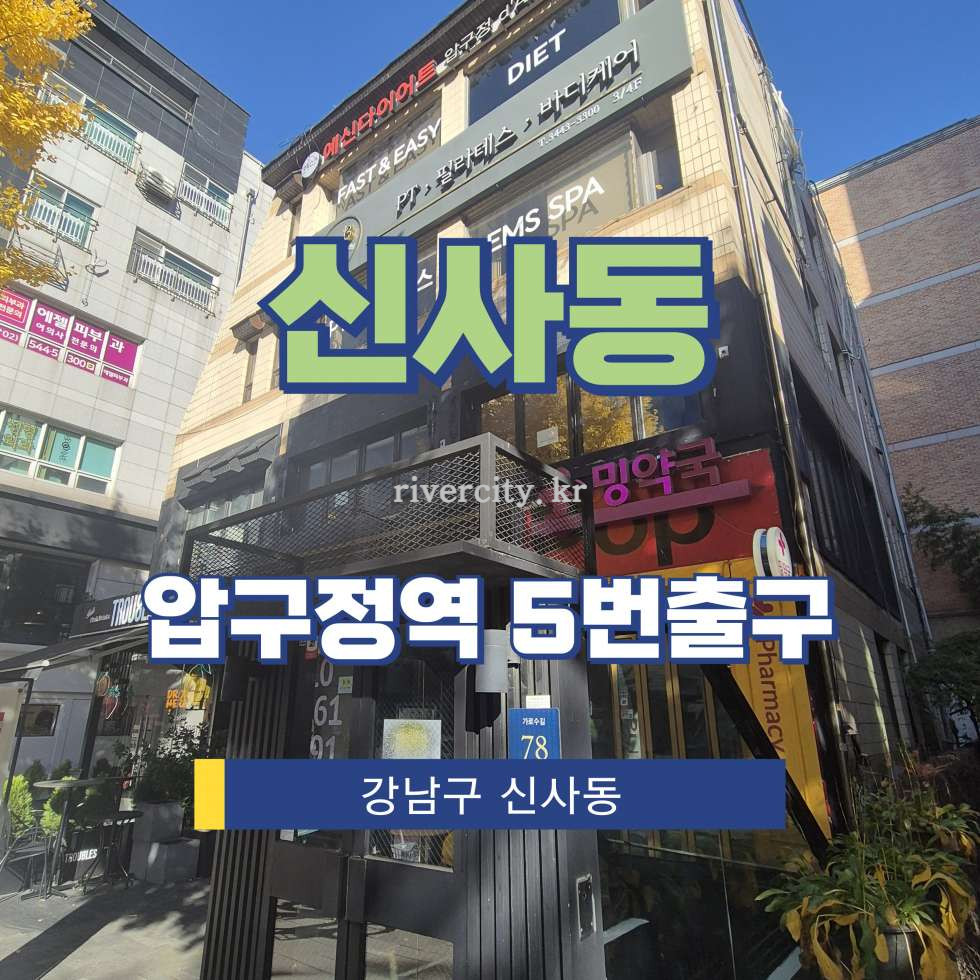 서울 강남구 신사동 547-2 [신사동/신사동] 압구정역 지하 임대 월세 매물번호 16470 사진 1