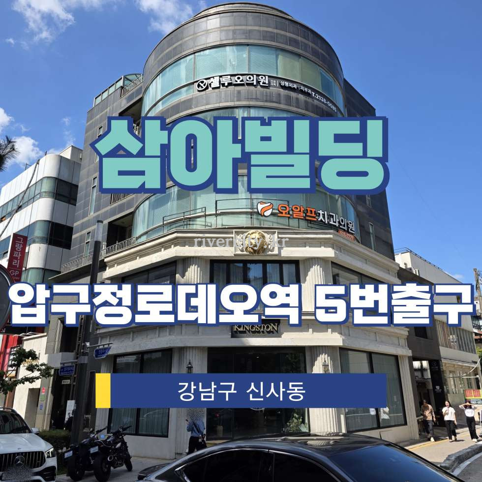 서울 강남구 신사동 664-14 [신사동/삼아빌딩] 압구정로데오역 상업시설 임대 월세 매물번호 15605 사진 1