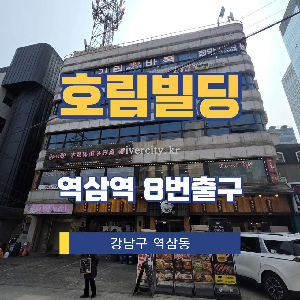 서울 강남구 역삼동 678-2 [역삼동/호림빌딩] 역삼역 사무실 임대 월세 매물번호 17178 사진 1