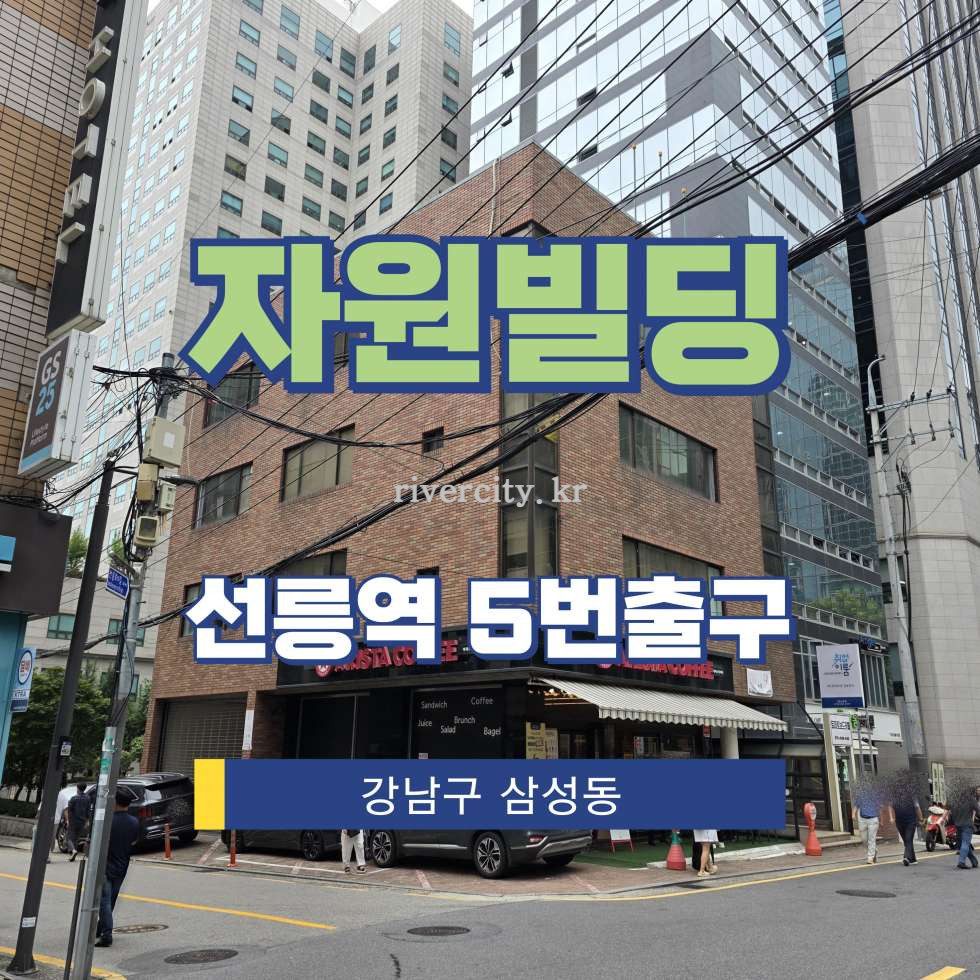 서울 강남구 역삼동 702 [역삼동/자원빌딩] 선릉역 사무실 임대 월세 매물번호 15651 사진 1
