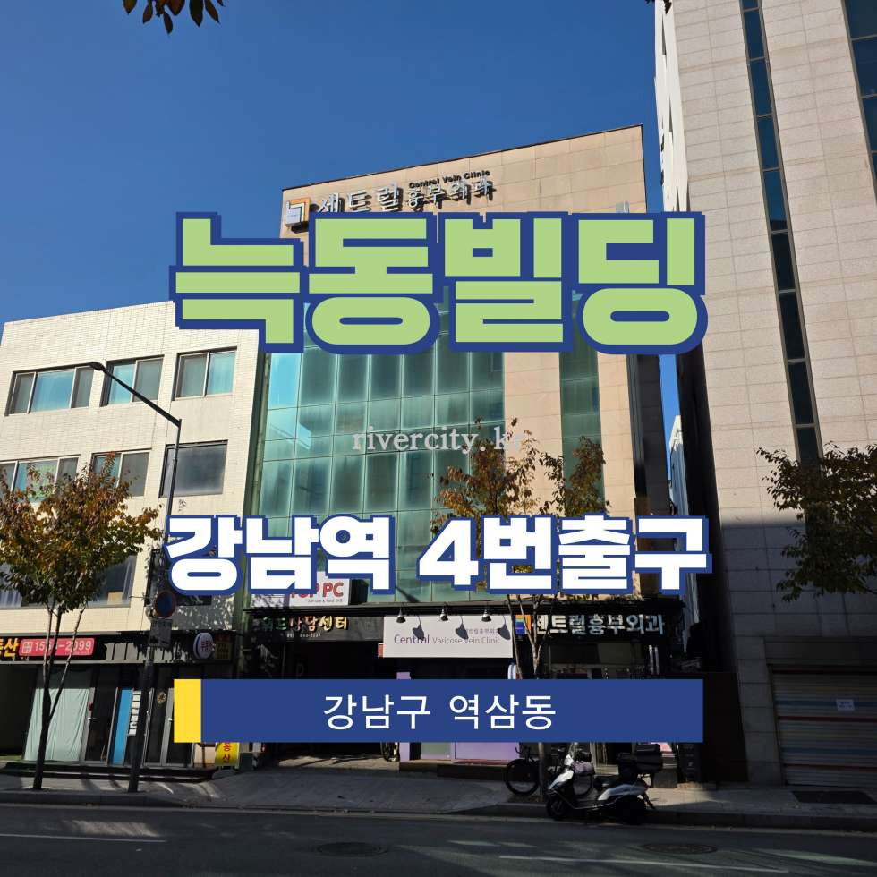 서울 강남구 역삼동 751-7 [역삼동/늑동빌딩] 강남역 사무실 임대 월세 매물번호 16626 사진 1