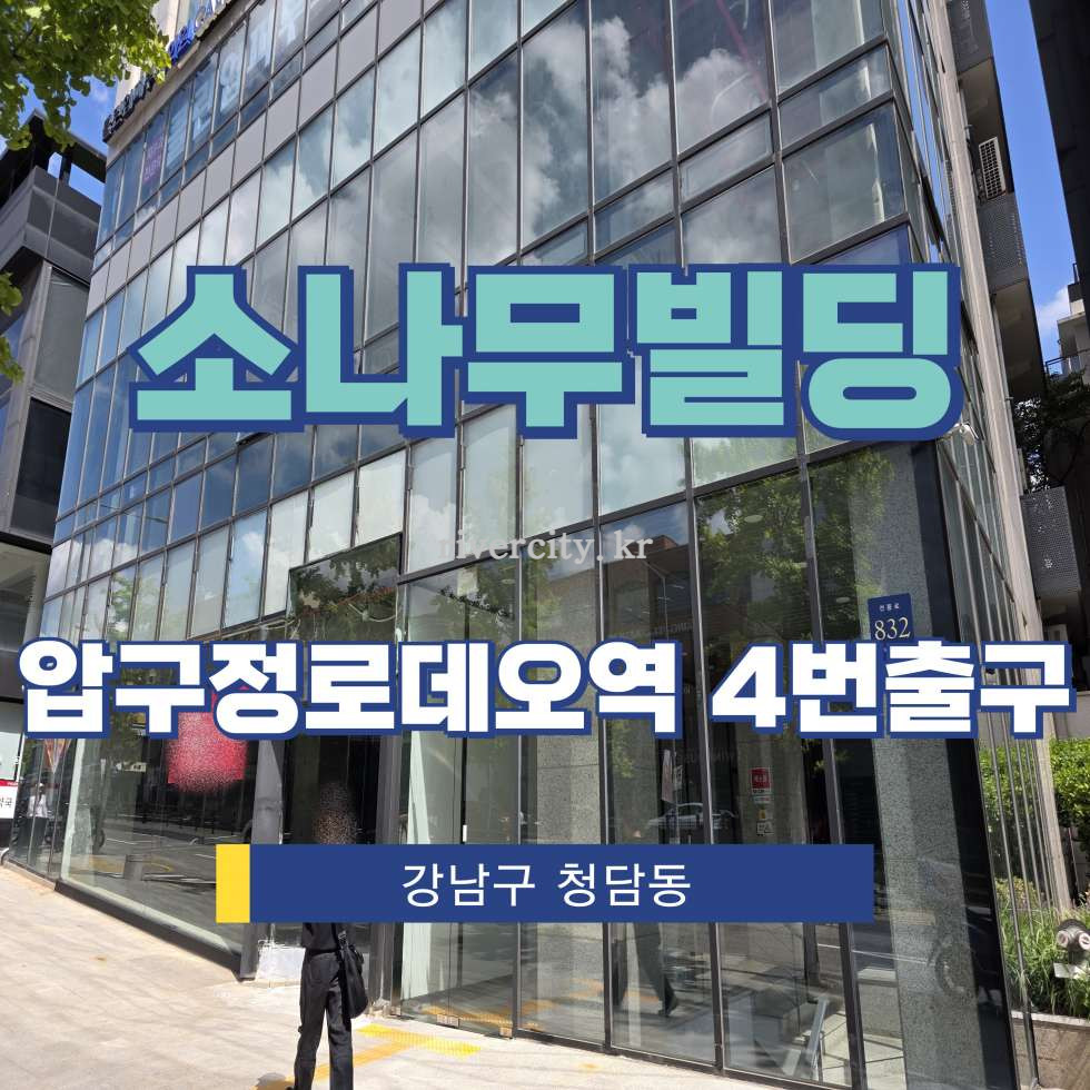 서울 강남구 청담동 84-6 [청담동/소나무빌딩] 압구정로데오역 상업시설 임대 월세 매물번호 15606 사진 1
