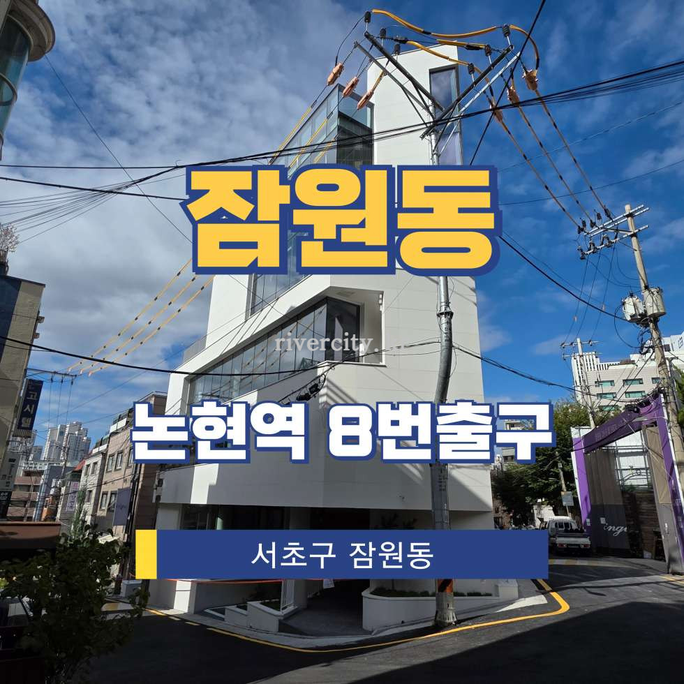 서울 서초구 잠원동 29-28 주건축물제1동 [잠원동/잠원동] 논현역 통임대 월세 매물번호 16224 사진 1