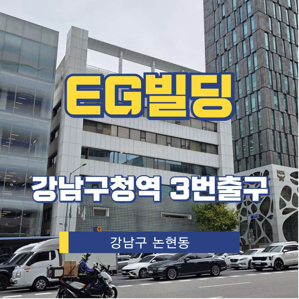 서울 강남구 논현동 91-20 [논현동/EG빌딩] 강남구청역 지하 임대 월세 매물번호 15820 사진 1