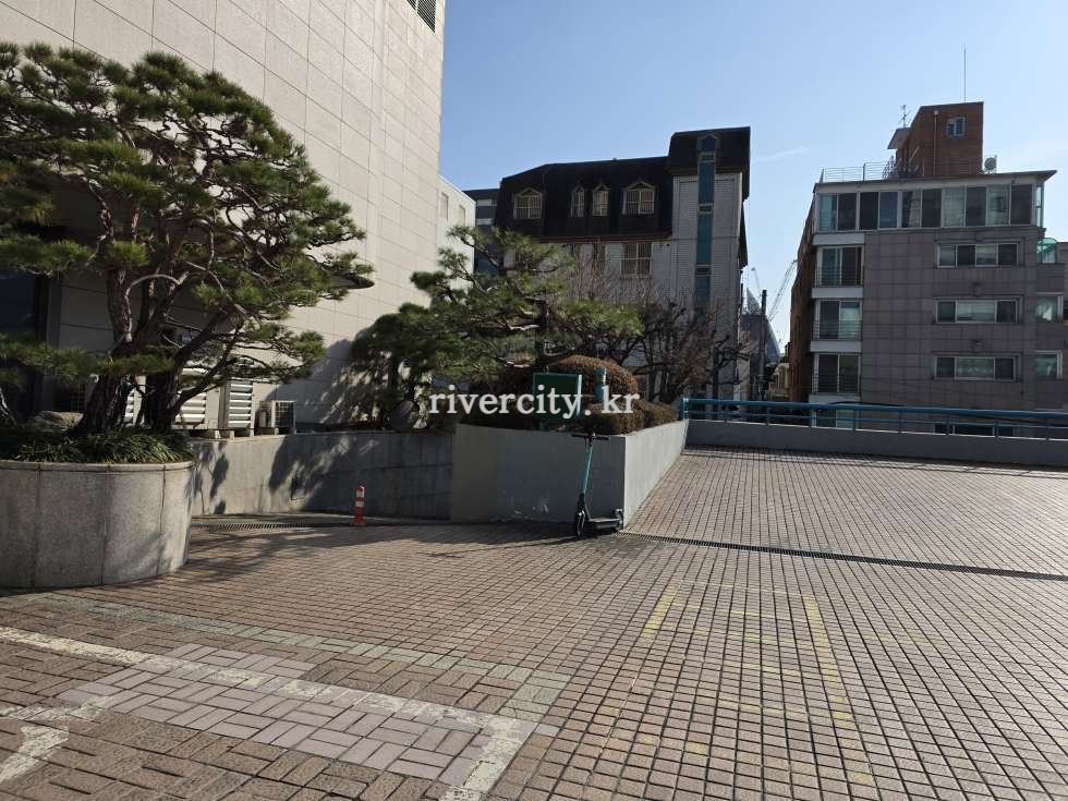 주차