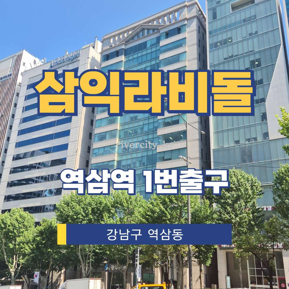 서울 강남구 역삼동 720-2 [역삼동/삼익라비돌] 역삼역 사무실 임대 월세 매물번호 17519 사진 1