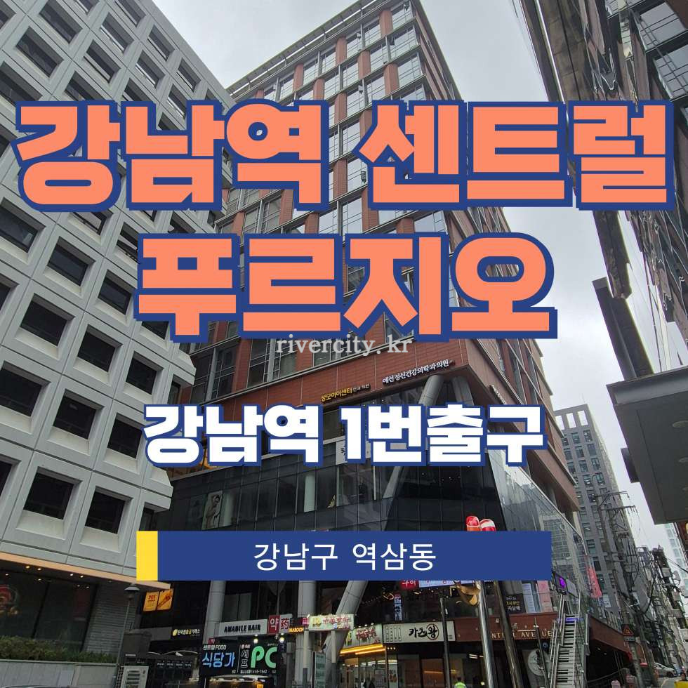 서울 강남구 역삼동 825-20 강남역센트럴푸르지오시티동 [역삼동/강남역센트럴푸르지오] 강남역 사무실 임대 월세 매물번호 17514 사진 1