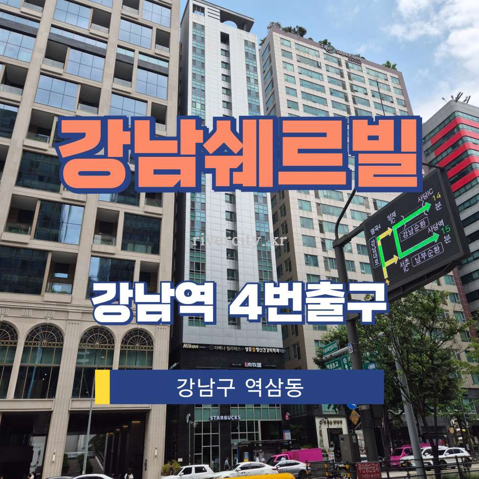 서울 강남구 역삼동 832-3 강남역쉐르빌동 [역삼동/강남쉐르빌] 강남역 사무실 임대 월세 매물번호 17622 사진 1