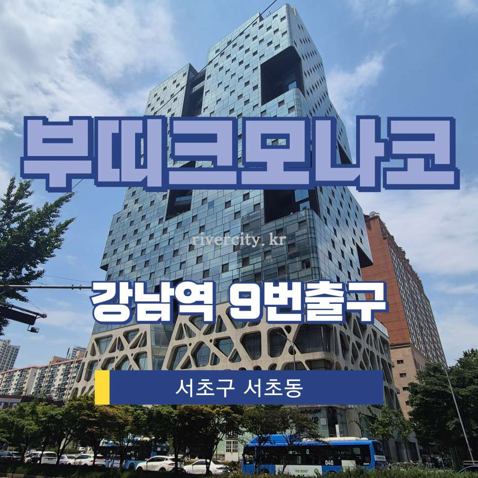 서울 서초구 서초동 1316-5 [서초동/부띠크모나코] 강남역 사무실 매매 매매 매물번호 17608 사진 1