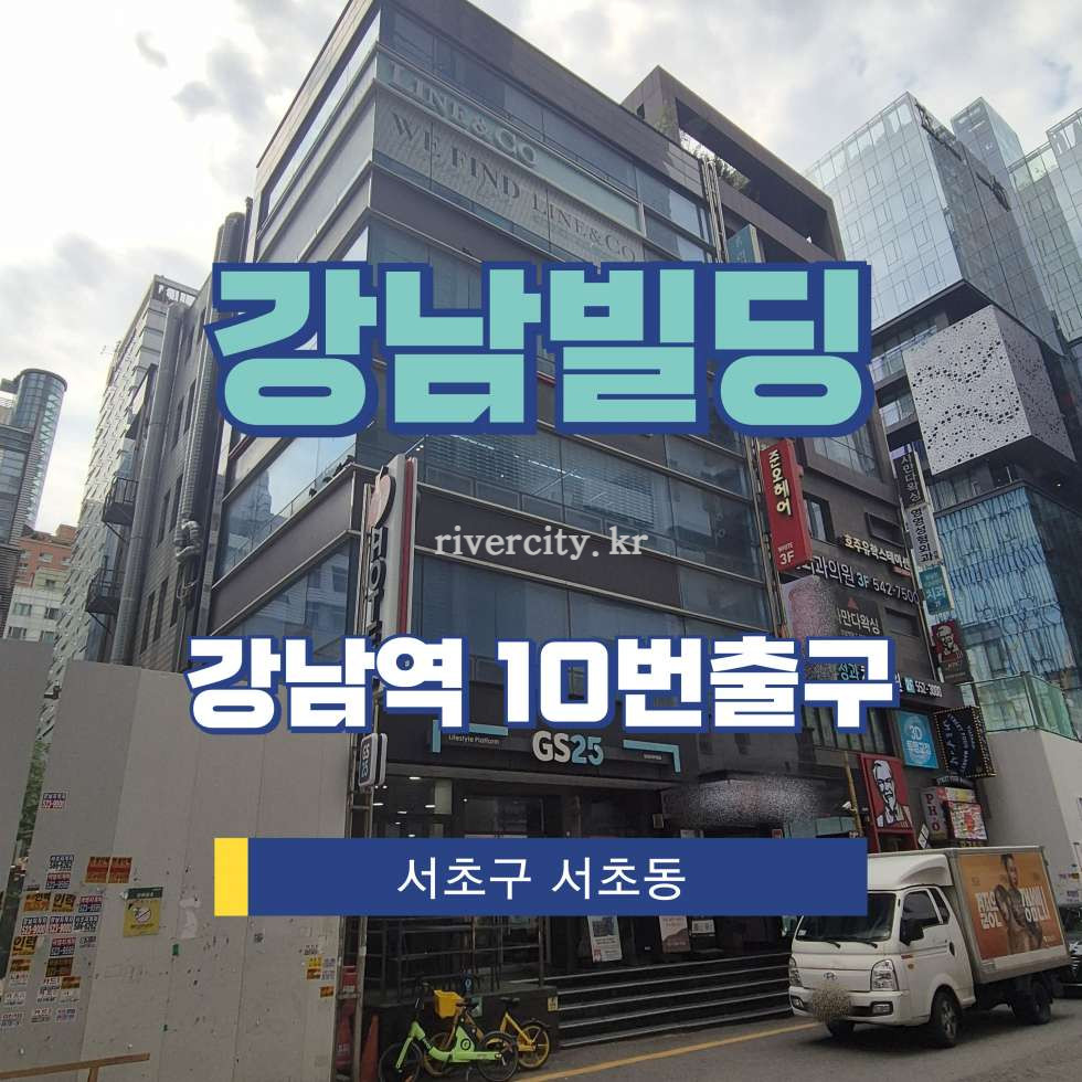서울 서초구 서초동 1317-7 [서초동/강남빌딩] 강남역 상업시설 임대 월세 매물번호 17677 사진 1