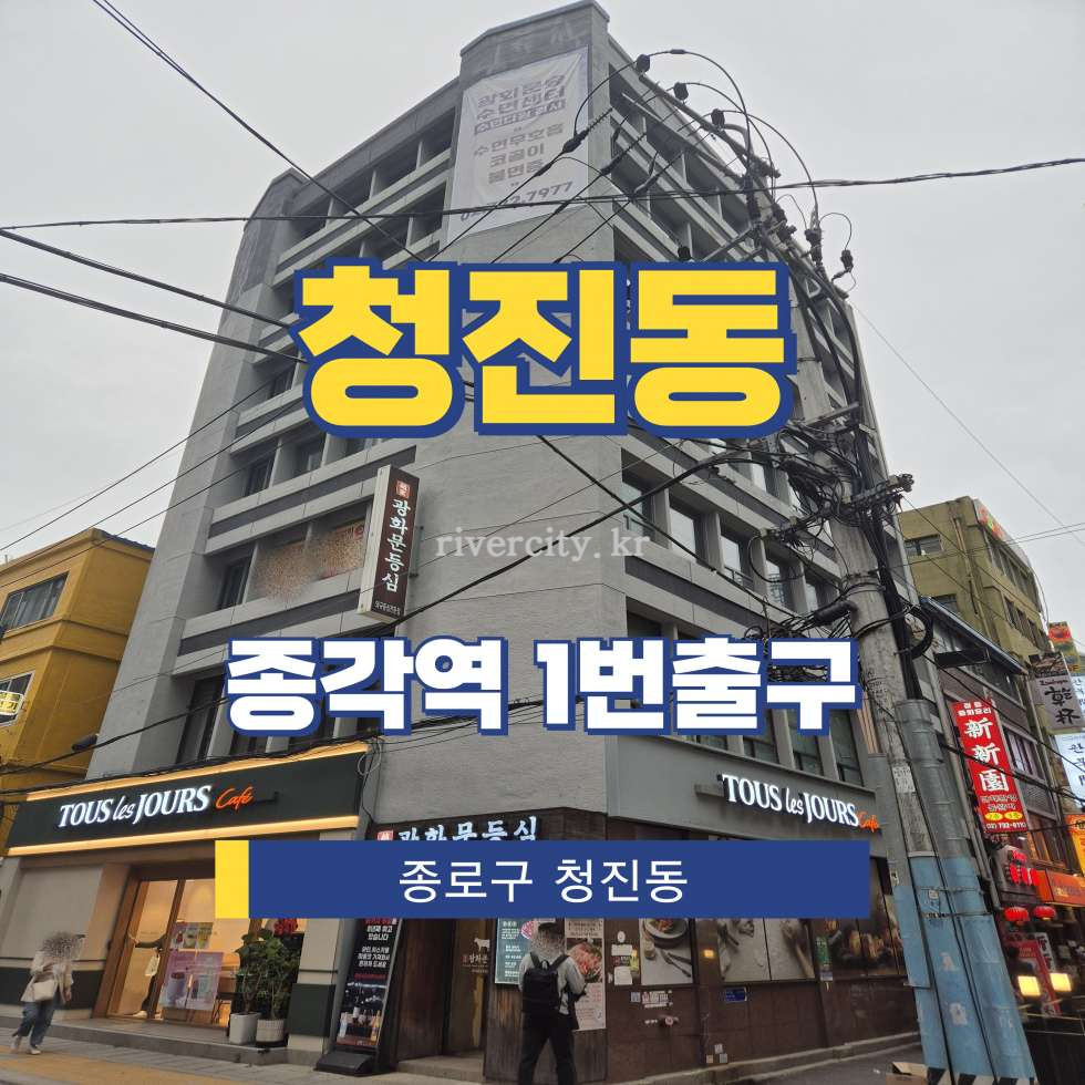 서울 종로구 청진동 18 [청진동/청진동] 종각역 사무실 임대 월세 매물번호 15419 사진 1