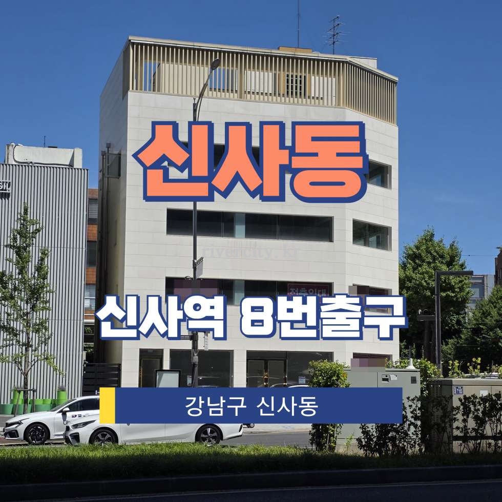 서울 강남구 신사동 537-7 [신사동/신사동] 신사역 통임대 월세 매물번호 16474 사진 1