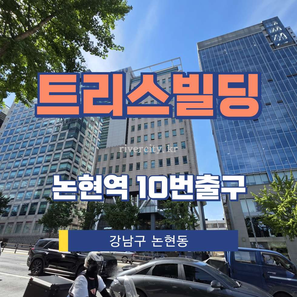 서울 강남구 논현동 70-6 [논현동/트리스빌딩] 학동역 사무실 임대 월세 매물번호 12658 사진 1