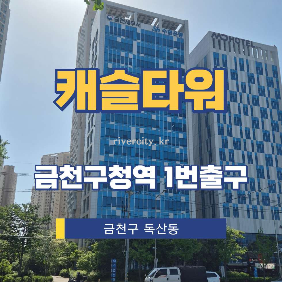 서울 금천구 독산동 1156 업무시설동 [독산동/캐슬타워] 금천구청역 사무실 임대 월세 매물번호 17359 사진 1