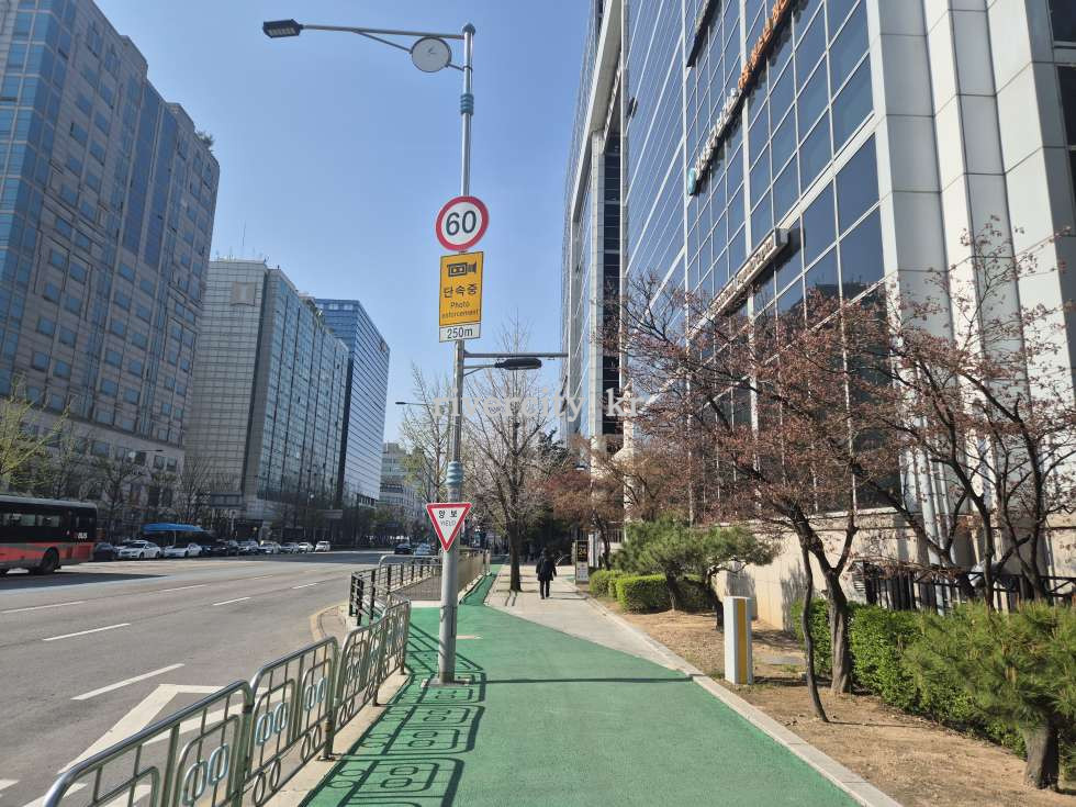 보도