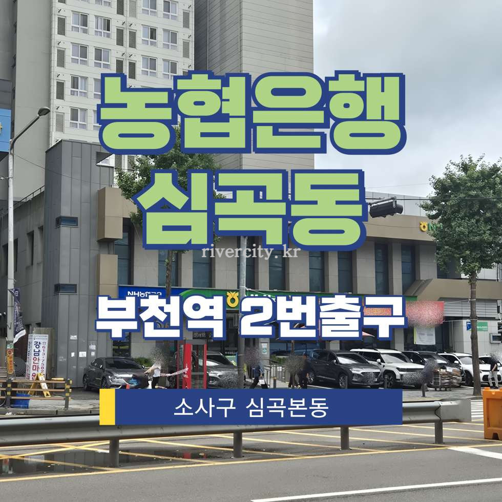 경기 부천소사구 심곡본동 671 [심곡본동/농협은행심곡동] 부천역 사무실 임대 월세 매물번호 17845 사진 1