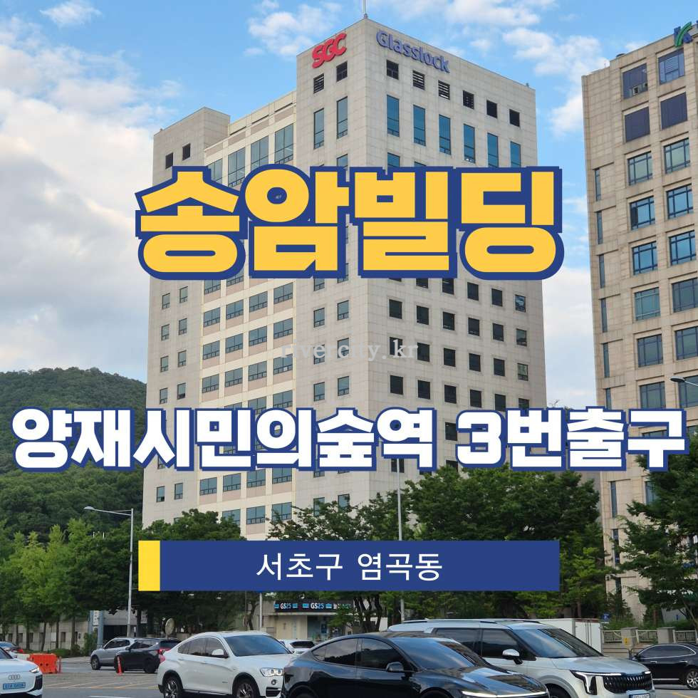 서울 서초구 염곡동 300-4 [염곡동/송암빌딩] 양재시민의숲역 사무실 임대 월세 매물번호 17929 사진 1