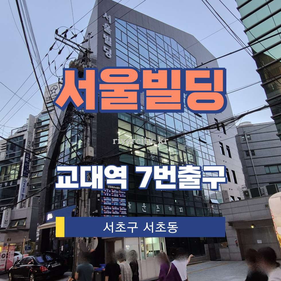 서울 서초구 서초동 1695-2 서울빌딩동 [서초동/서울빌딩] 교대역 사무실 임대 월세 매물번호 17937 사진 1