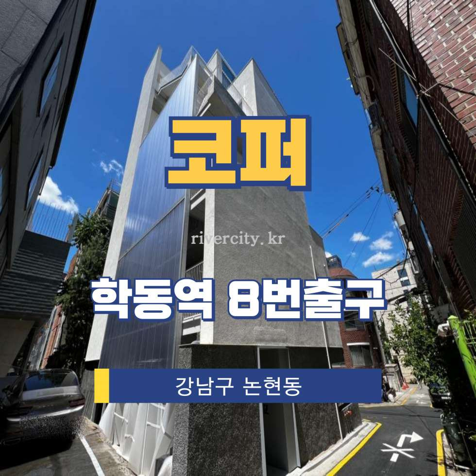 서울 강남구 논현동 73-3 [논현동/코퍼] 학동역 통임대 월세 매물번호 12881 사진 1