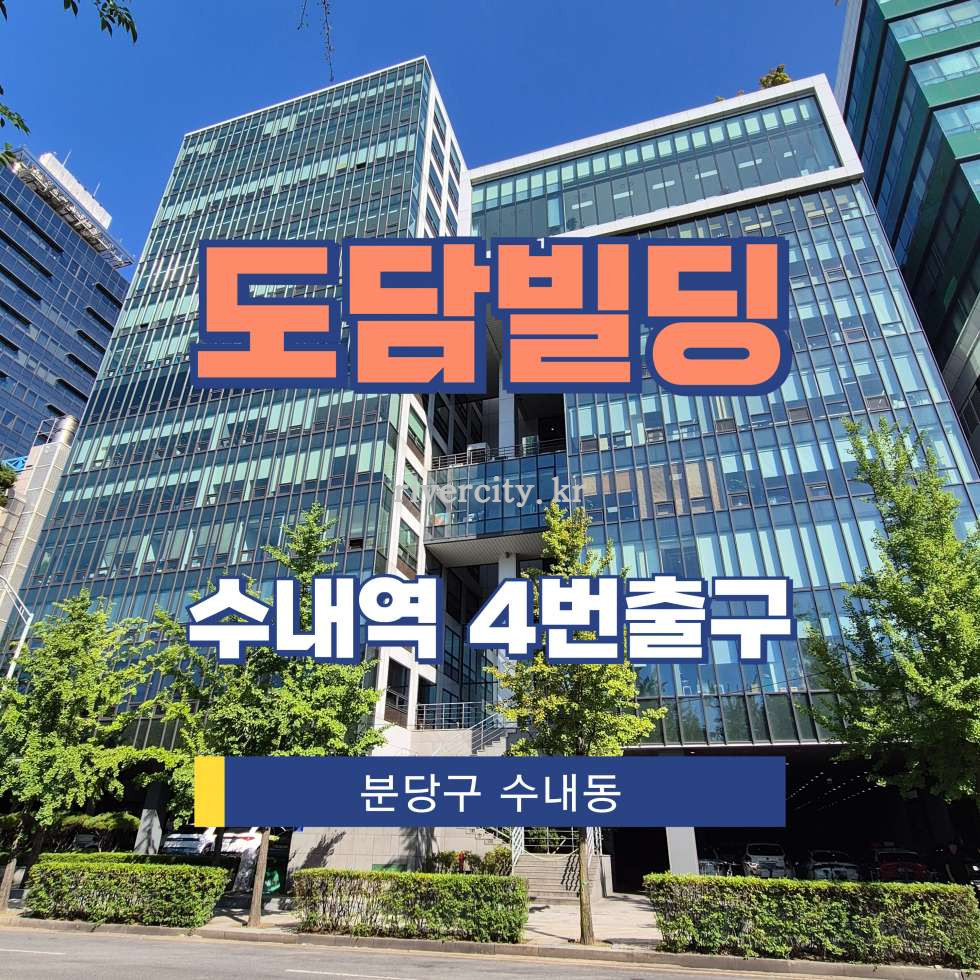 경기 성남분당구 수내동 9-3 [수내동/도담빌딩] 수내역 사무실 임대 월세 매물번호 17765 사진 1
