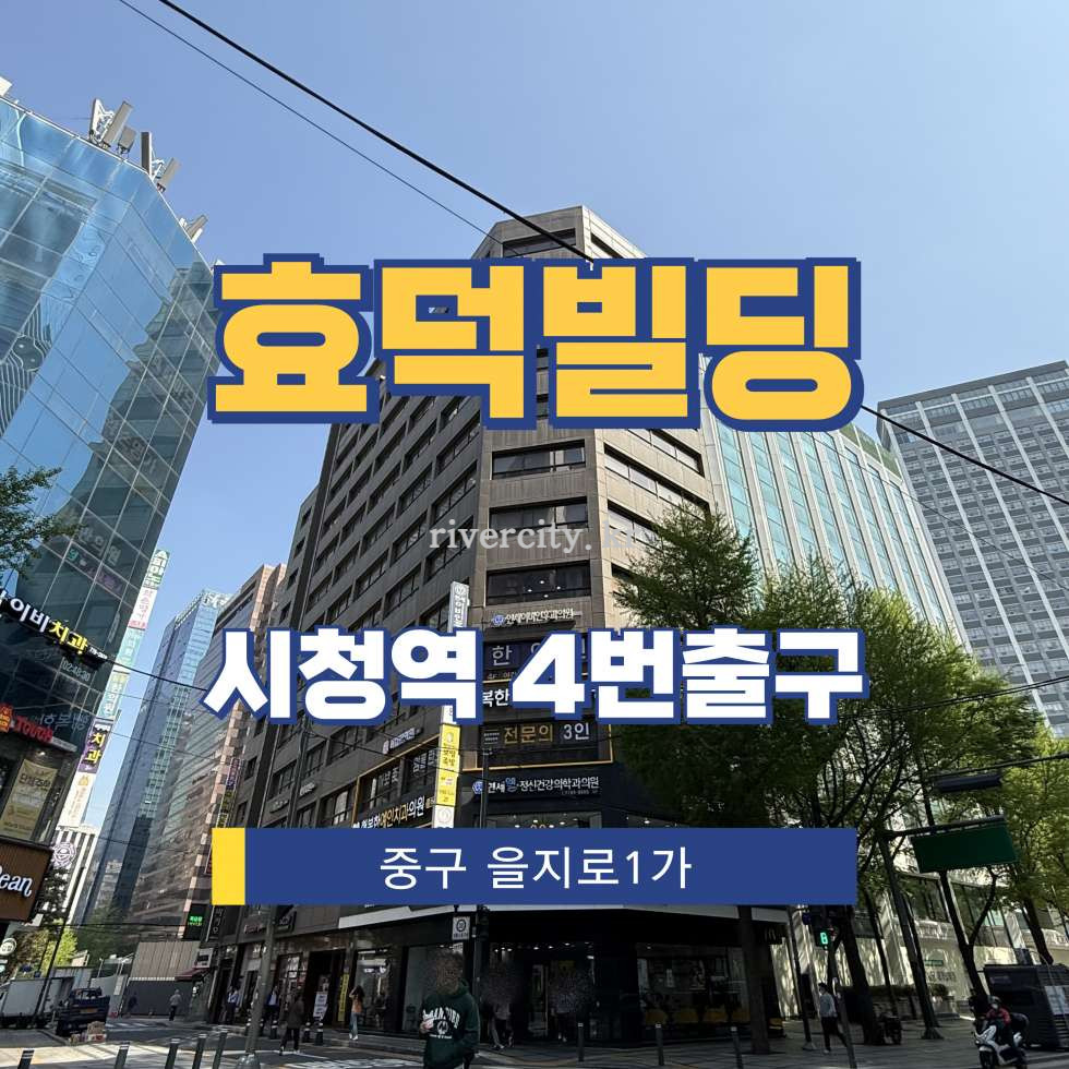 서울 중구 을지로1가 32 [을지로1가/효덕빌딩] 을지로입구역 사무실 임대 월세 매물번호 15254 사진 1