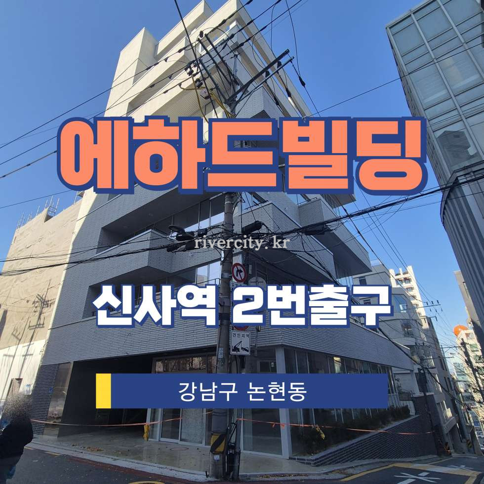 서울 강남구 논현동 16-36 [논현동/에하드빌딩] 신사역 사무실 임대 월세 매물번호 16705 사진 1