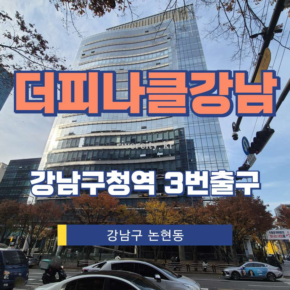 서울 강남구 논현동 119 [논현동/더피나클강남] 강남구청역 사무실 임대 월세 매물번호 12993 사진 1