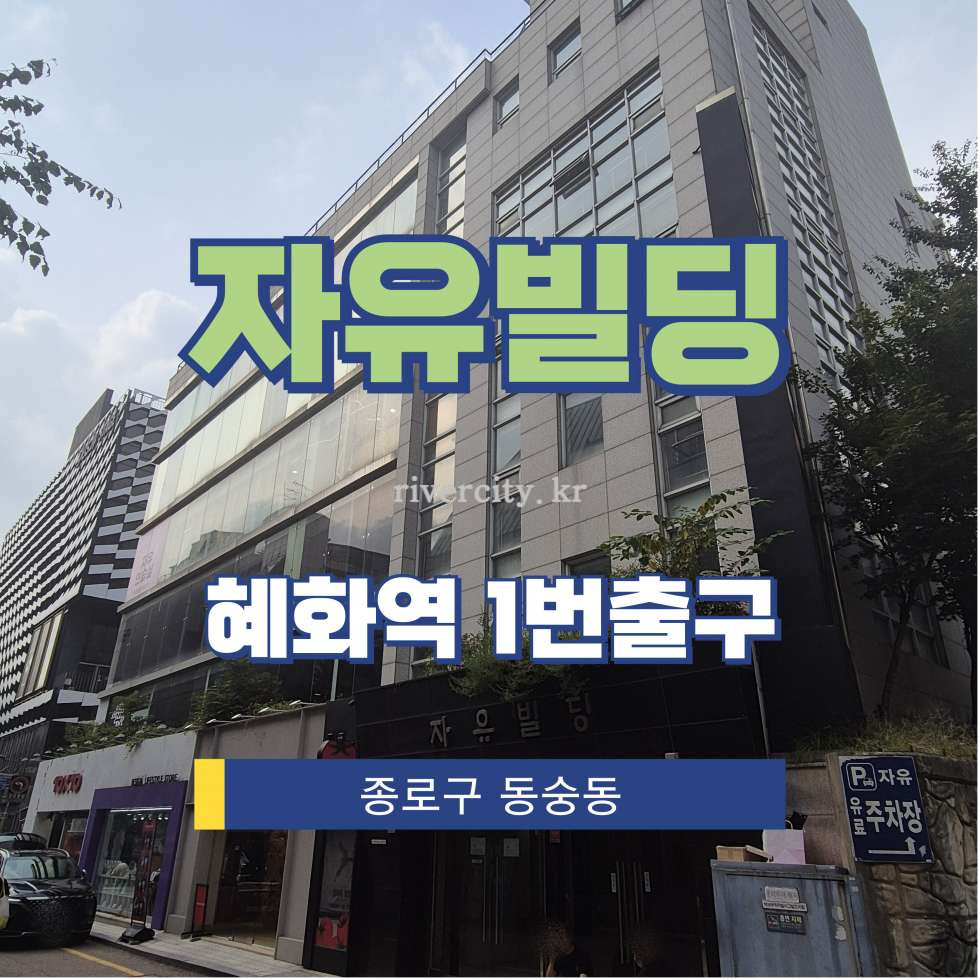 서울 종로구 동숭동 1-45 [동숭동/자유빌딩] 혜화역 사무실 임대 월세 매물번호 15859 사진 1