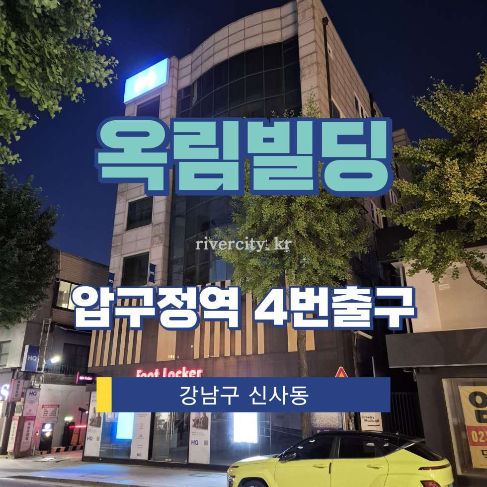 서울 강남구 신사동 546-3 [신사동/옥림빌딩] 압구정역 상업시설 임대 월세 매물번호 17945 사진 1