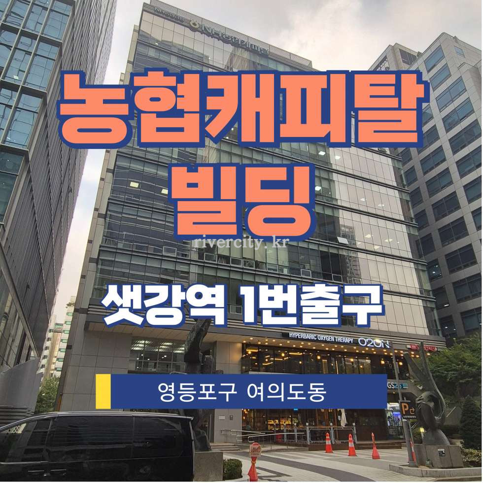 서울 영등포구 여의도동 45-3 [여의도동/농협캐피탈빌딩] 샛강역 사무실 임대 월세 매물번호 15856 사진 1