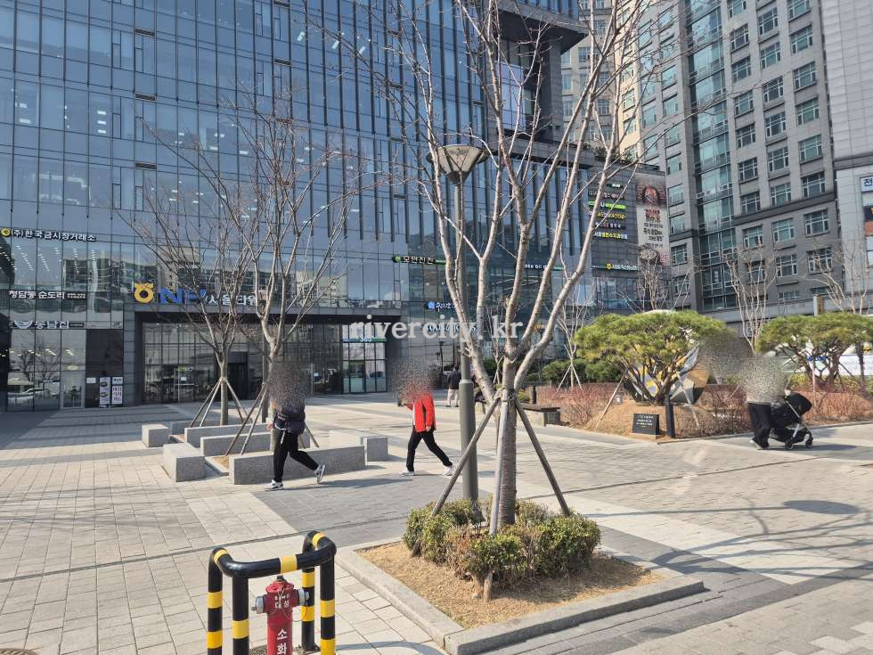 입구
