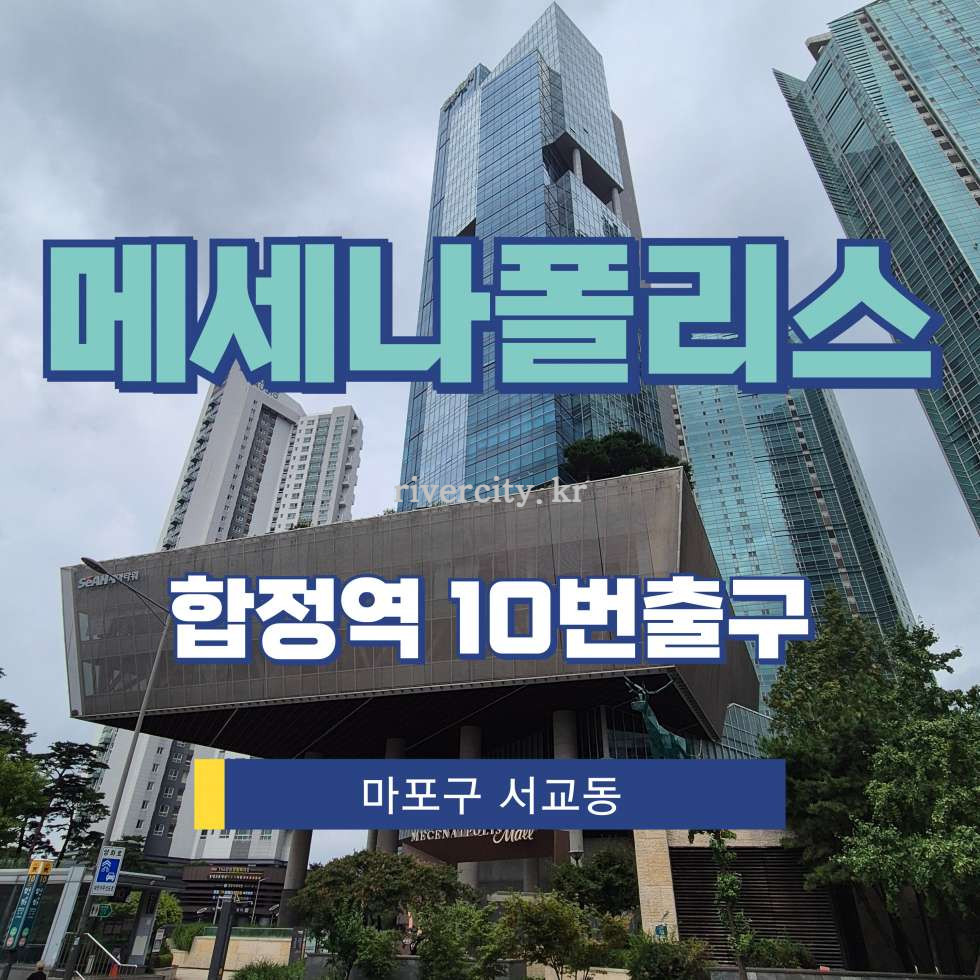 서울 마포구 서교동 490 몰동 [서교동/메세나폴리스] 합정역 상업시설 임대 월세 매물번호 17955 사진 1