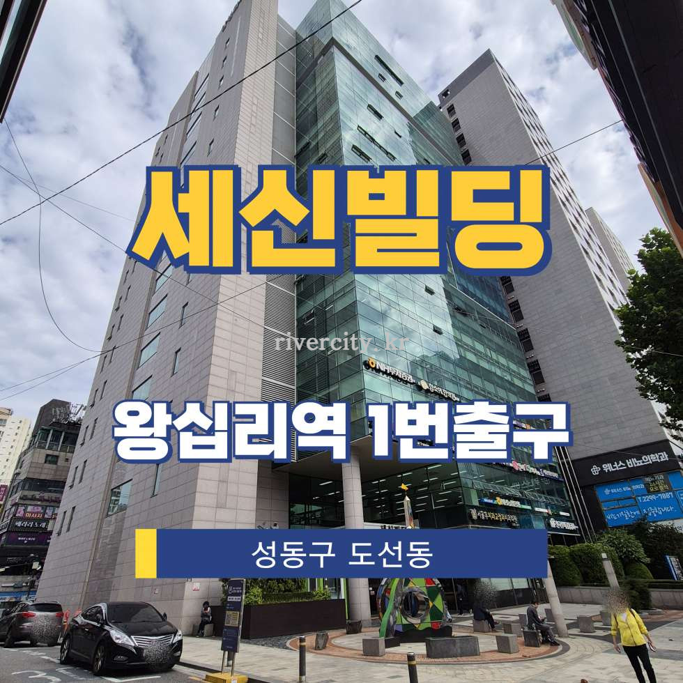 서울 성동구 도선동 58-1 [도선동/세신빌딩] 왕십리역 사무실 임대 월세 매물번호 13183 사진 1