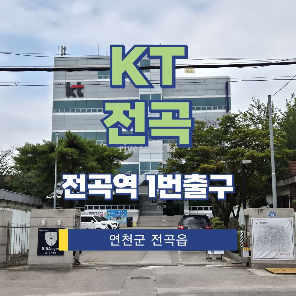 경기 연천군 전곡읍 전곡리 266-19 [전곡읍/KT전곡] 전곡역 사무실 임대 월세 매물번호 17979 사진 1