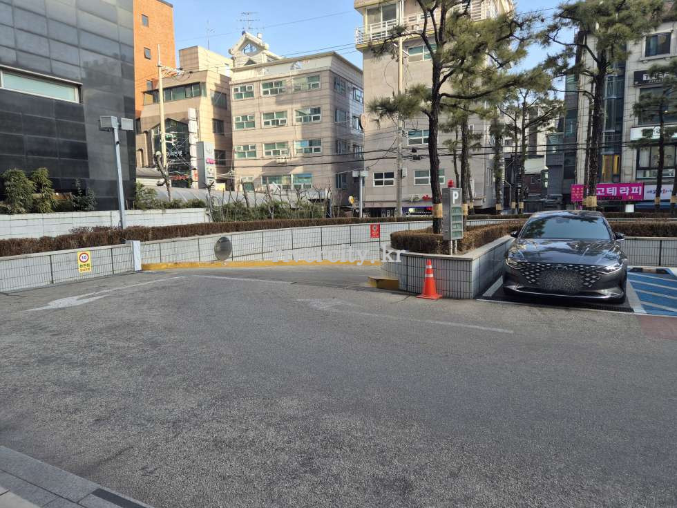주차