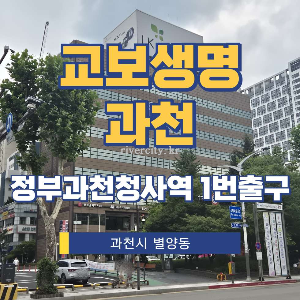 경기 과천시 별양동 1-16 [별양동/교보생명과천] 과천정부청사역 사무실 임대 월세 매물번호 17818 사진 1